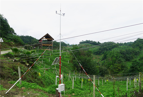 小型氣象站多少錢？風途小型氣象站報價