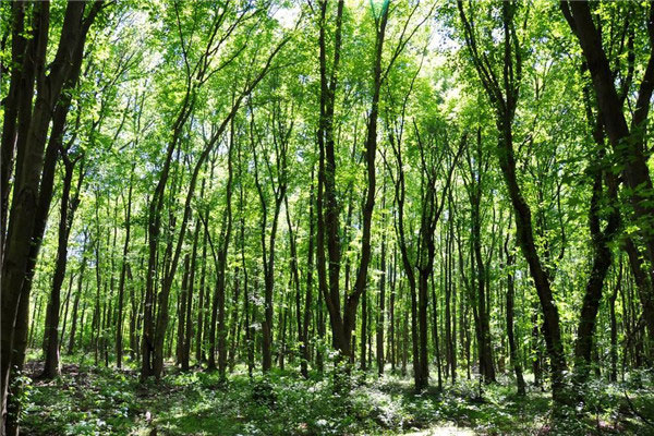 手持式氣象站 手持式氣象站