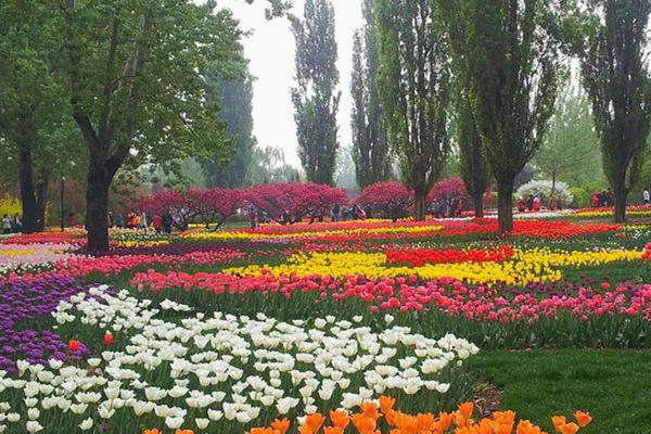 便攜式自動氣象站 便攜式自動氣象站