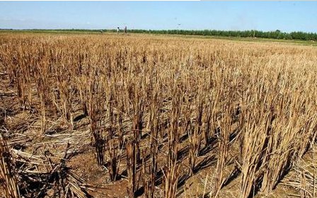 自動(dòng)氣象站 自動(dòng)氣象站