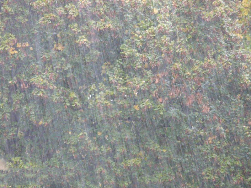 農業種植業如何應對暴雨？