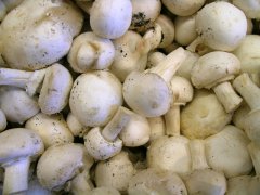 人工栽培食用菌菇,也用上了物聯網